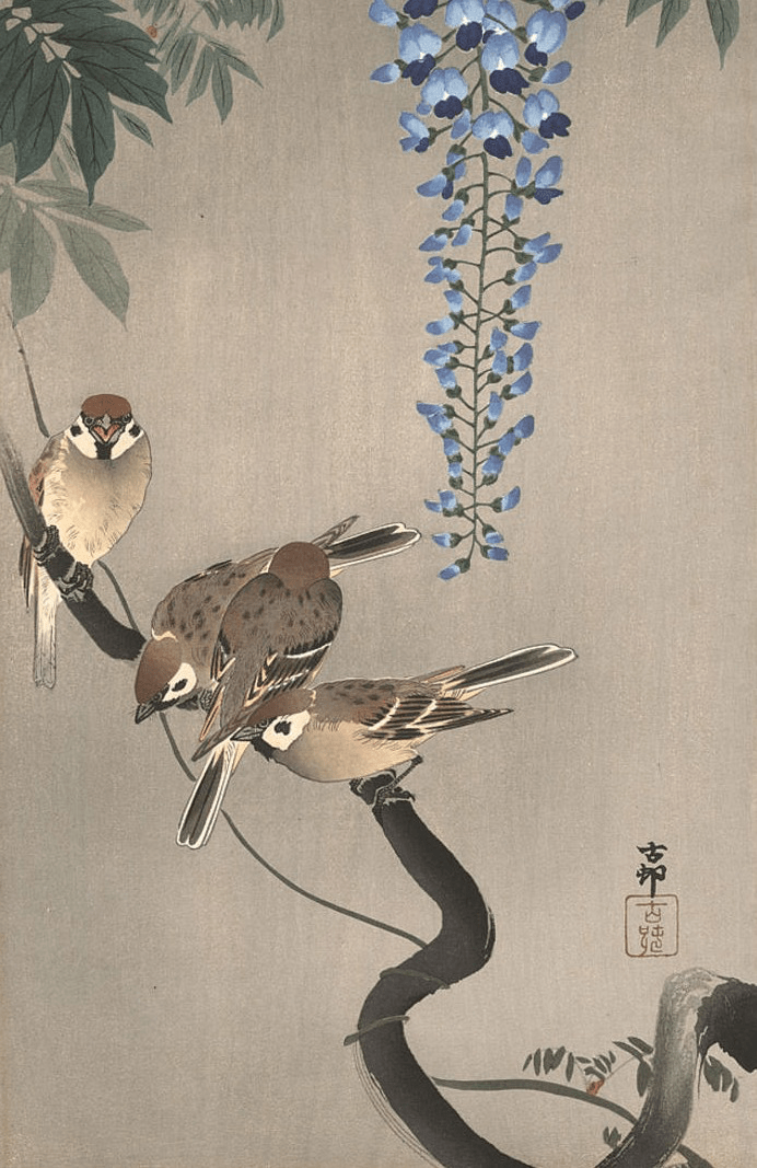 Reto de haiku: 28 de agosto de&nbsp;2022