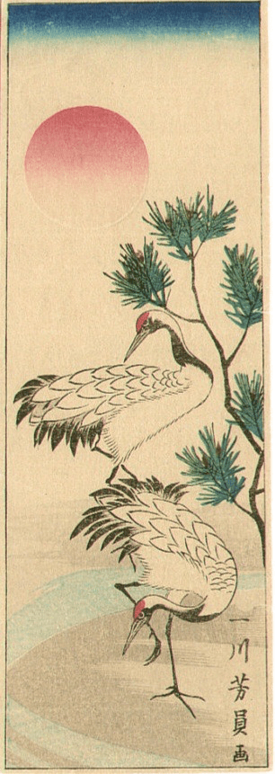 Reto de haiku: 7 de agosto de&nbsp;2022