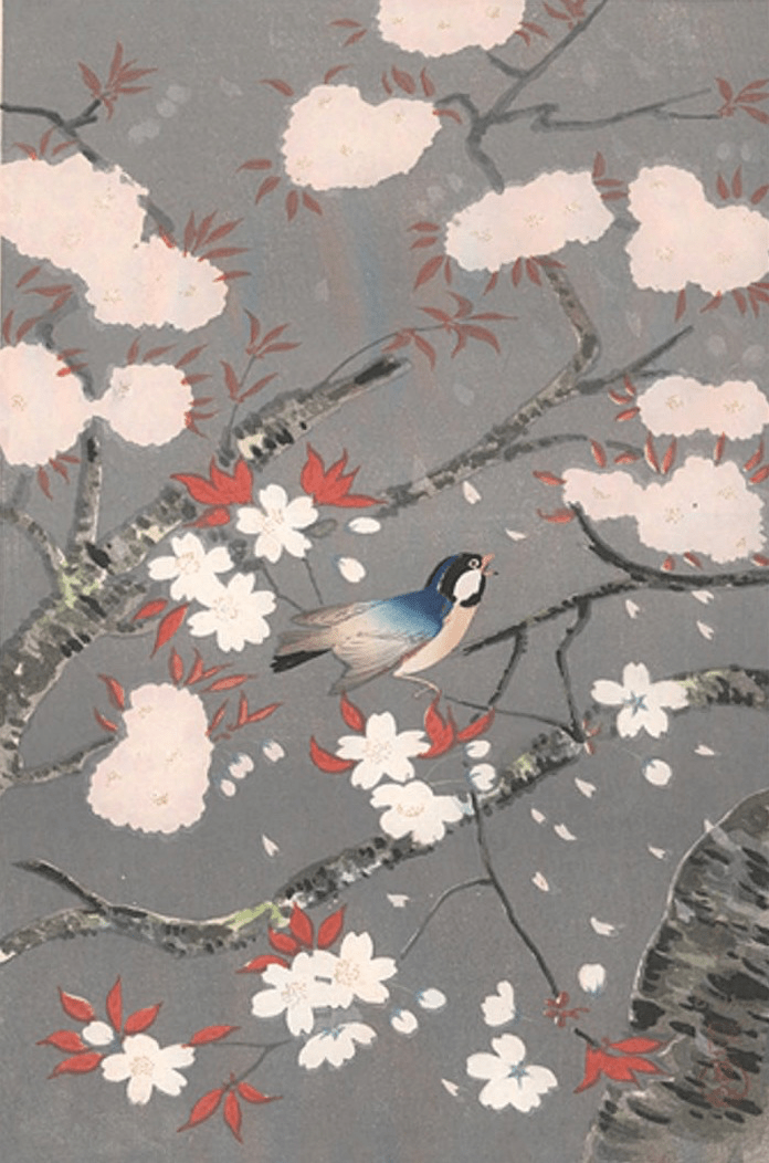 Reto de haiku: 21 de agosto de 2022