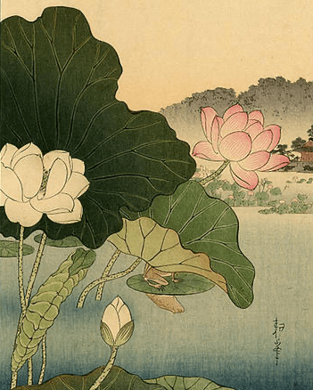 Reto de haiku: 15 de mayo de&nbsp;2022