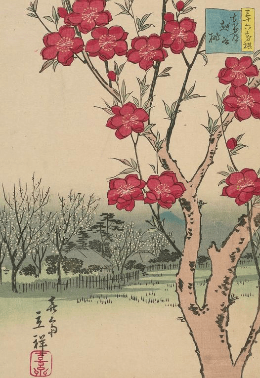 XXX Reto de haiku de La senda del haiku