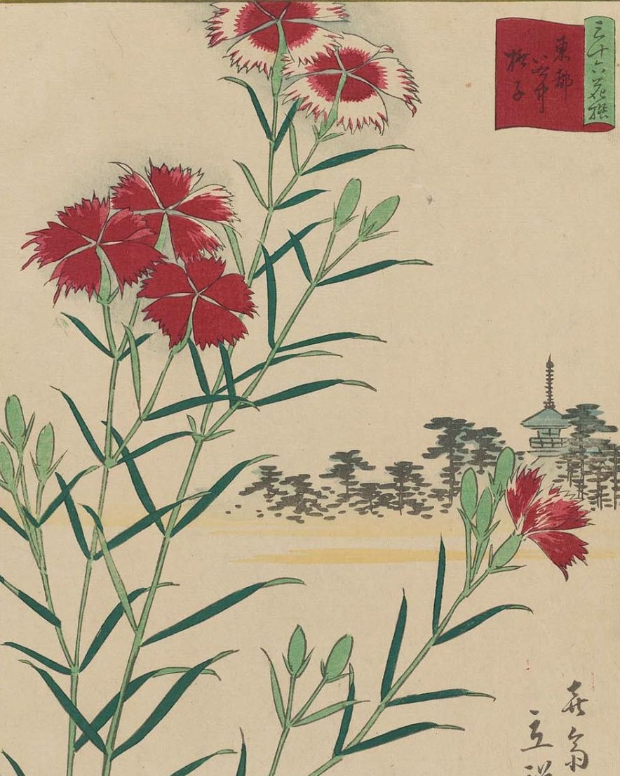 XXXIV  Reto de haiku de La senda del&nbsp;haiku