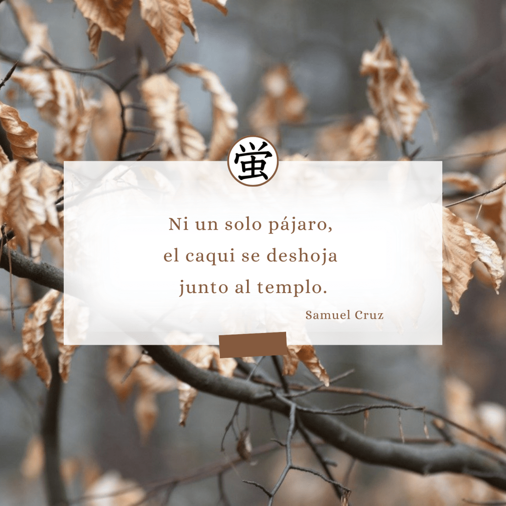 Ni un solo&nbsp;pájaro