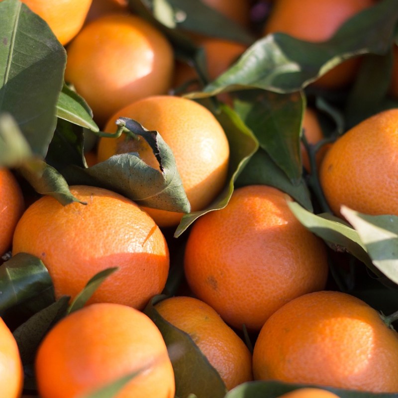 Kigo: Mandarina (蜜柑, みかん,&nbsp;mikan)
