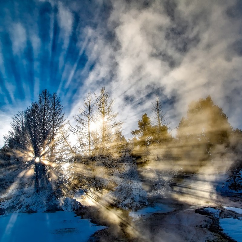 Kigo: Viento de invierno (凩, こがらし,&nbsp;kogarashi)