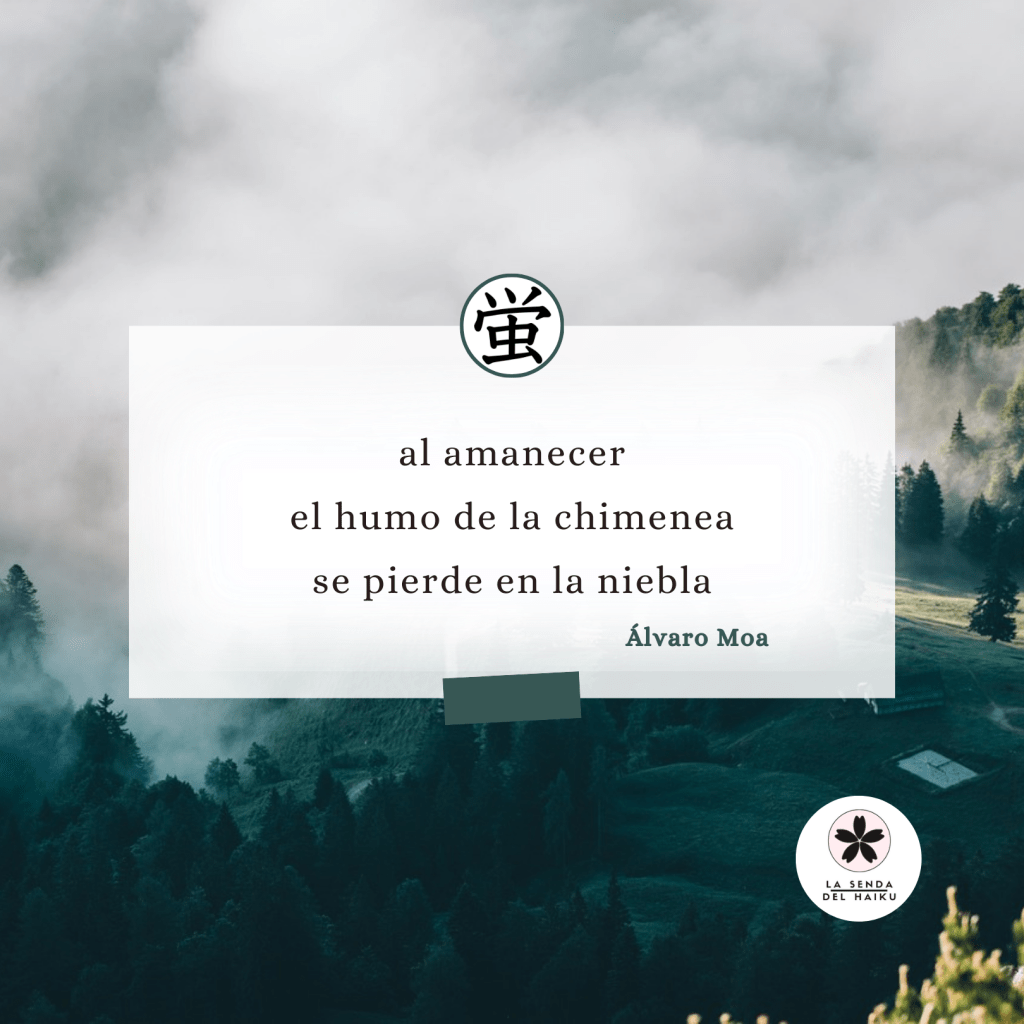 Se pierde en la&nbsp;niebla