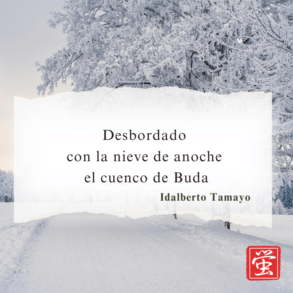 Con la nieve de anoche