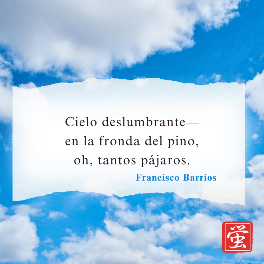 Cielo deslumbrante