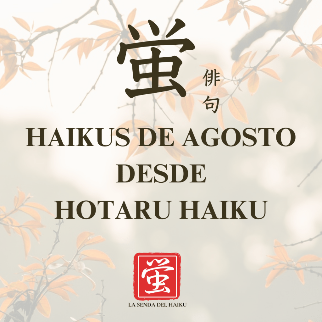 Agosto: Haikus desde nuestra aplicación móvil Hotaru Haiku