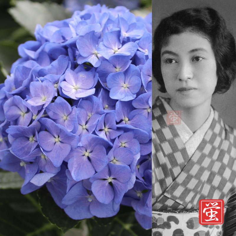 LXXXIII Reto de haiku de La senda del haiku: Takako&nbsp;Hashimoto