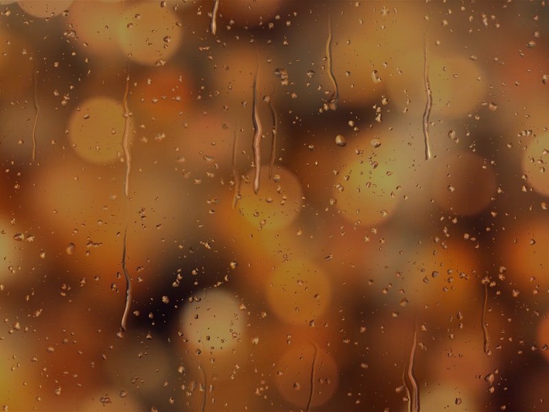 Kigo: Lluvia de otoño (秋の雨, あきのあめ, aki no&nbsp;ame)