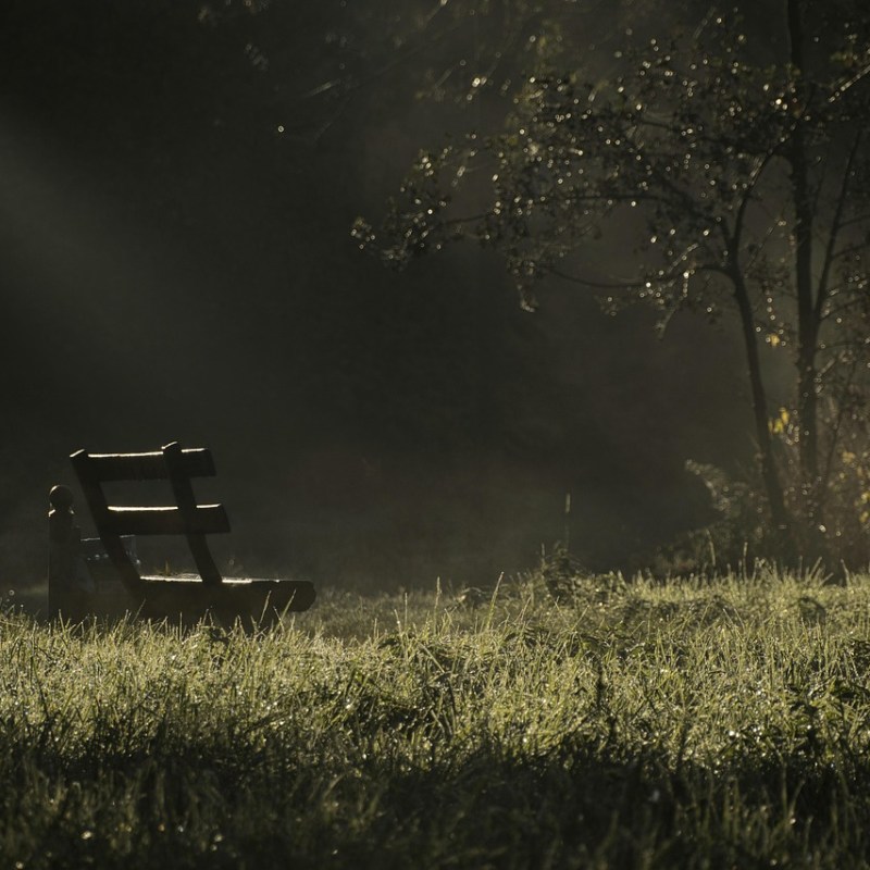 Kigo: Grillo campana (鈴虫, すずむし,&nbsp;suzumushi)