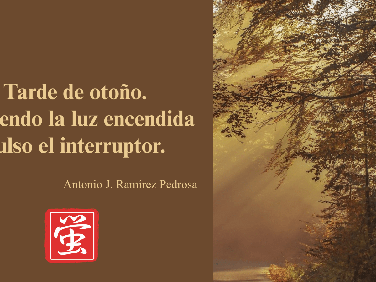 Una luz como la luz de la tarde de&nbsp;otoño