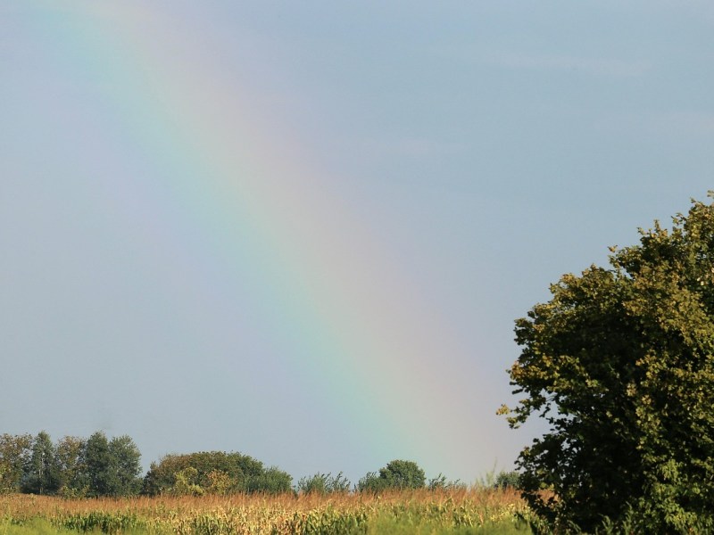 Kigo: Arcoíris de otoño (秋の虹, あきのにじ, aki no&nbsp;niji)