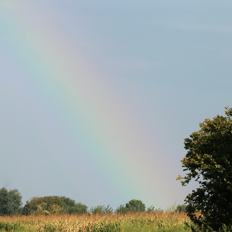 Kigo: Arcoíris de otoño (秋の虹, あきのにじ, aki no&nbsp;niji)