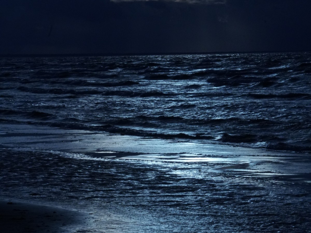 Kigo: Albor de luna (月代, つきしろ,&nbsp;tsukishiro)