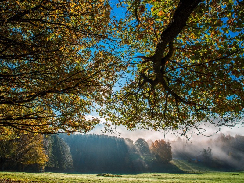 Kigo: Día apacible de otoño (秋日和, あきびより,&nbsp;akibiyori)