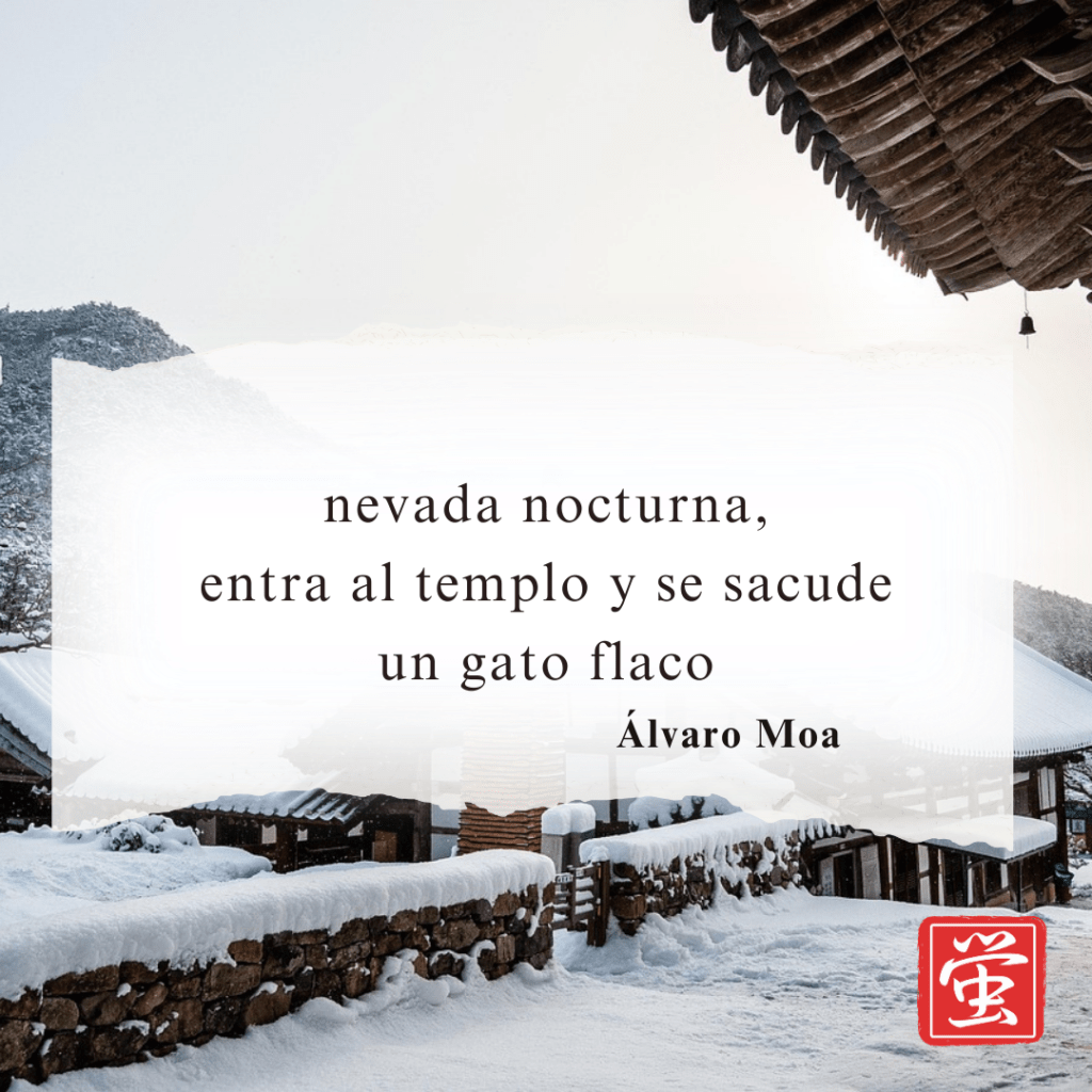 Versos perdidos: nevada&nbsp;nocturna