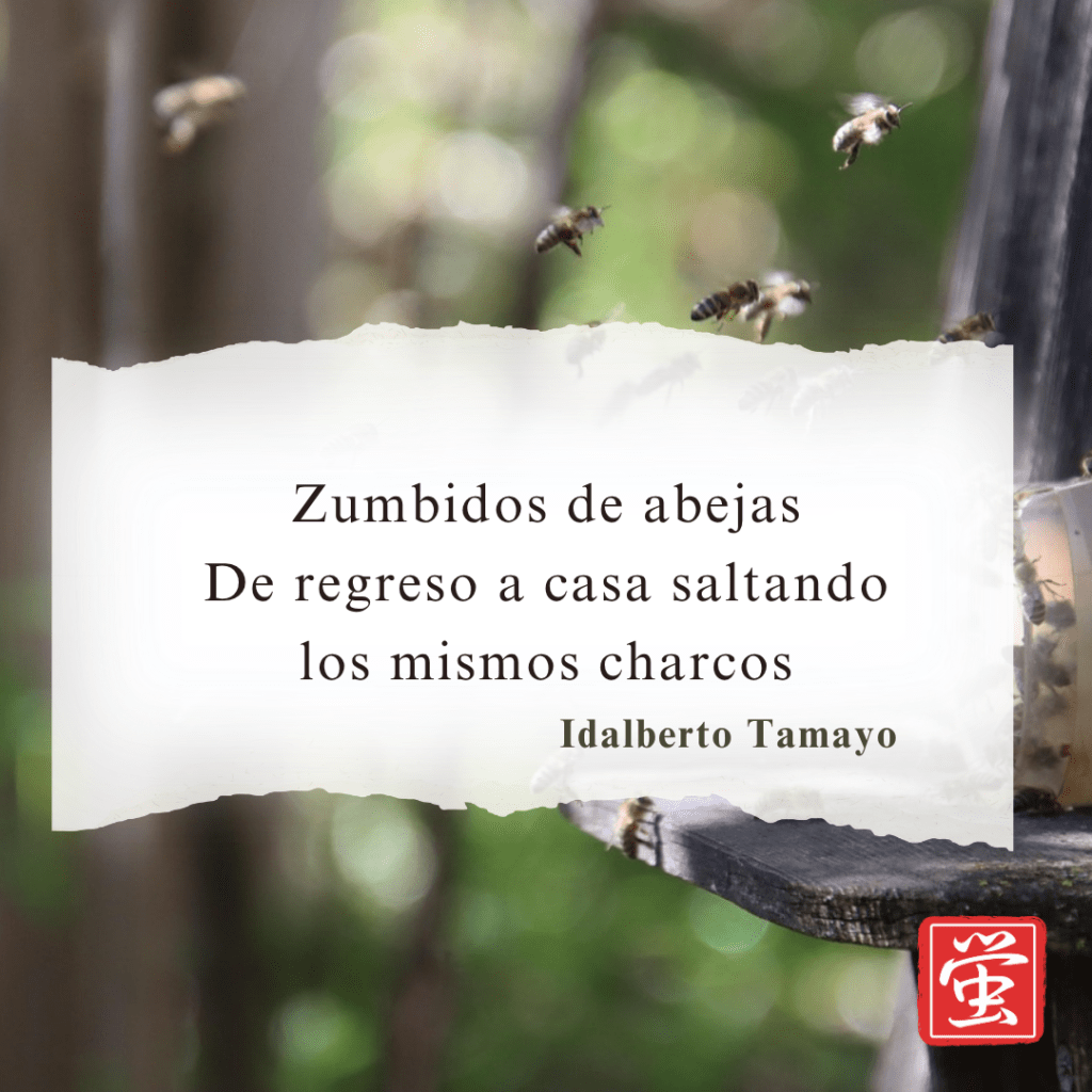 Versos perdidos: zumbidos de abejas